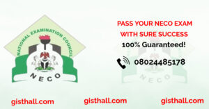 Neco Gce 2025 Economics Questions now available
