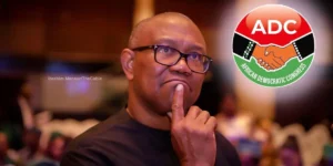 From ‘Padded Budget’ to ‘Forged Laws’: Peter Obi Reacts to Alleged Tax Law Alterations in Nigeria