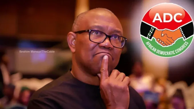 From ‘Padded Budget’ to ‘Forged Laws’: Peter Obi Reacts to Alleged Tax Law Alterations in Nigeria